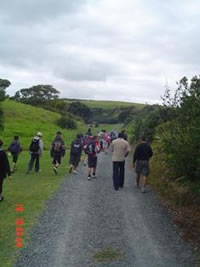 tawharanui walk: 