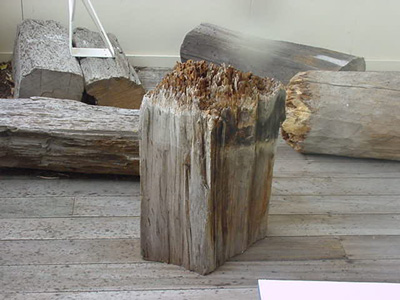 excavated piles