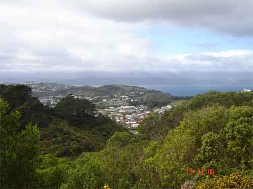 A stunning view from Mt Kaukau