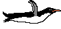 bd13733_.gif (2462 bytes)