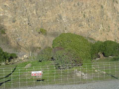 cliff face and nesting boxes.jpg (251384 bytes)