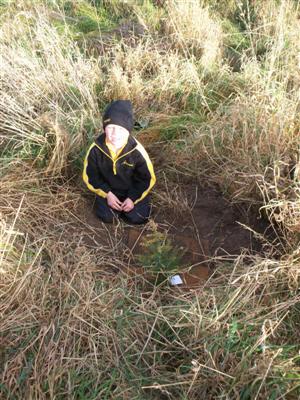 Here is  Kaleb planting
his tree.