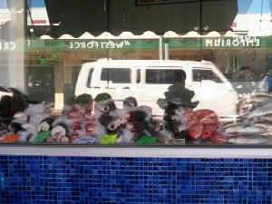 fish shop.