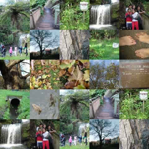 Collage.