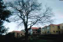Houses.