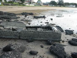 Remains of the concrete boat
