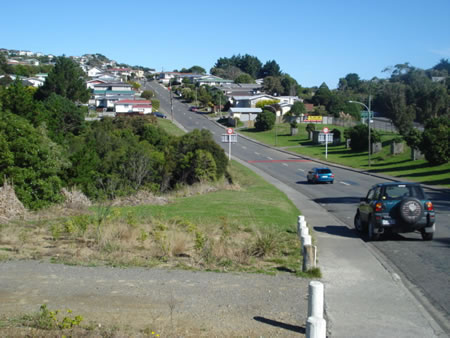 Photo of a Wellington suburb. 