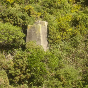 Supports for old rail viaduct photo. 