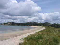 Te Haruhi beach. It is fun and you can dig in the sand and you can swim there.