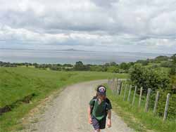 A track going to the lookout. You can see Rangitoto is the background.