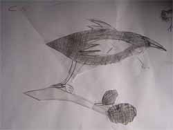 This is Kyle's sketch of a tui.