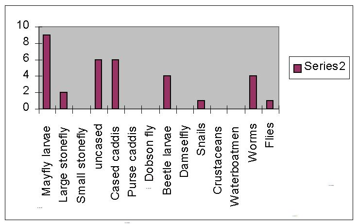 A creek related graph