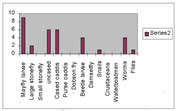 A creek related graph