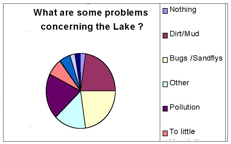 What are some problems concerning the lake?