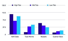 graph2: 