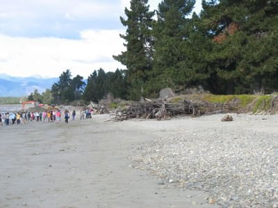 An image of Mapua beachfront. 