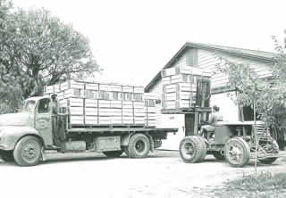 Image of early transport. 