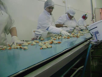 Image of scallop factory