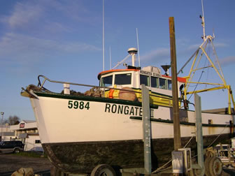 Image of Talleys Rongatea II fishing boat