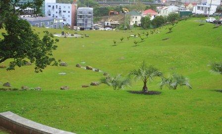 Basque Park (Te Uru Karaka) where the Wai-a-te-ao begins.