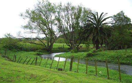 Behind the zoo the Wai-a-te-ao runs through parkland