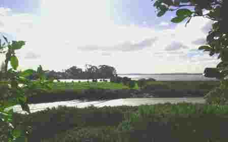 The Wai-a-te-ao where it enters the Waitemata Harbour.