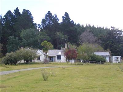 Shag Valley Station