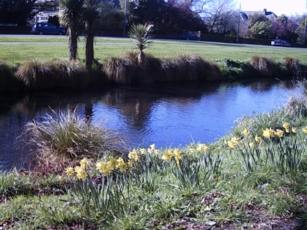 riverdaffs: