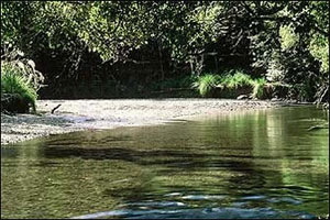 Te Urewera