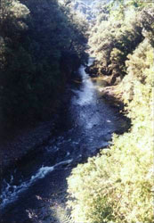 Te Urewera