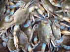 Crabs. 