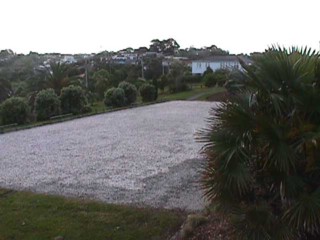 Petanque: 