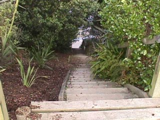 Steps: 