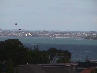 View: 
