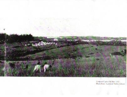 Castor Oil Bay 1903: 