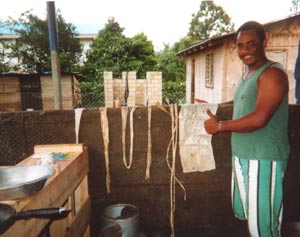 Drying the Strips: After the bark has been beaten to make it wider and longer it is hung out to dry. This photograph shows Hingano showing a tapa strip which has been beaten to make it wider and longer and is now being dried.